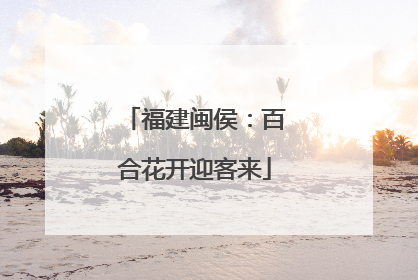 福建闽侯：百合花开迎客来