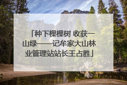 种下棵棵树 收获一山绿——记牟家大山林业管理站站长王占胜