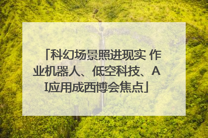 科幻场景照进现实 作业机器人、低空科技、AI应用成西博会焦点