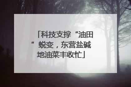 科技支撑“油田”蜕变，东营盐碱地油菜丰收忙