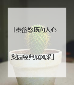 秦韵悠扬润人心 梨园经典展风采