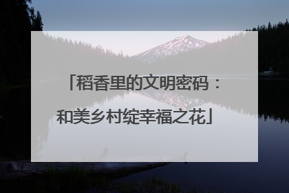 稻香里的文明密码：和美乡村绽幸福之花
