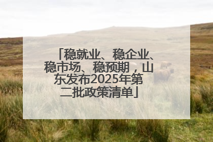 稳就业、稳企业、稳市场、稳预期，山东发布2025年第二批政策清单