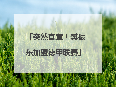 突然官宣！樊振东加盟德甲联赛