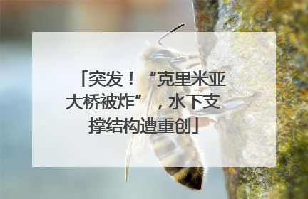 突发！“克里米亚大桥被炸”，水下支撑结构遭重创