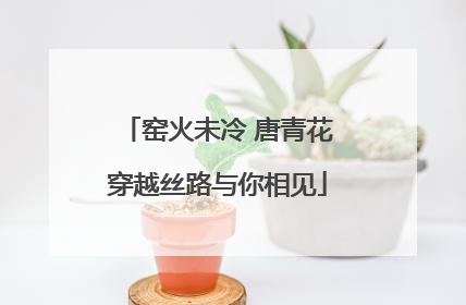 窑火未冷 唐青花穿越丝路与你相见