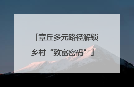 章丘多元路径解锁乡村“致富密码”