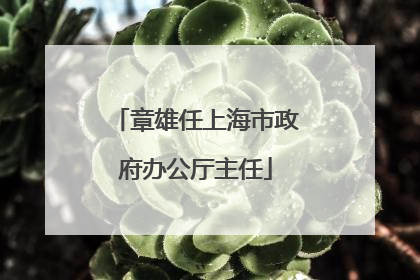 章雄任上海市政府办公厅主任