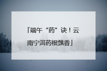端午“药”诀！云南宁洱药根飘香