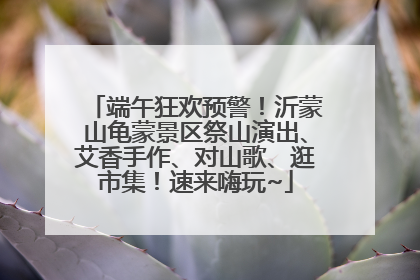 端午狂欢预警！沂蒙山龟蒙景区祭山演出、艾香手作、对山歌、逛市集！速来嗨玩~