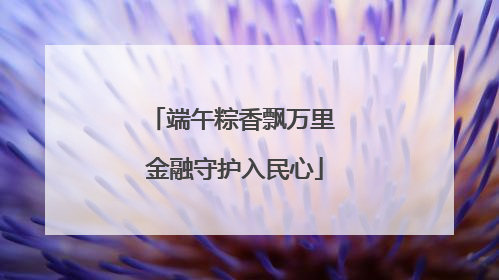 端午粽香飘万里 金融守护入民心