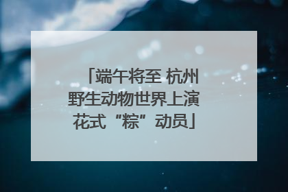 端午将至 杭州野生动物世界上演花式“粽”动员