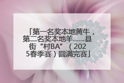 第一名奖本地黄牛，第二名奖本地羊……县街“村BA”（2025春季赛）圆满完赛