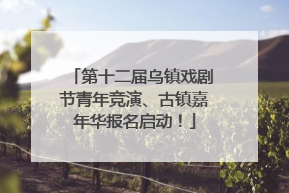 第十二届乌镇戏剧节青年竞演、古镇嘉年华报名启动！