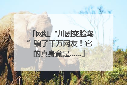 网红“川剧变脸鸟”骗了千万网友！它的真身竟是……