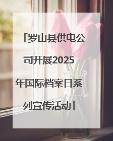 罗山县供电公司开展2025年国际档案日系列宣传活动