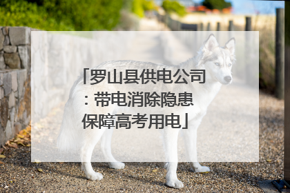罗山县供电公司：带电消除隐患 保障高考用电