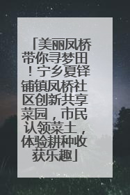 美丽凤桥带你寻梦田！宁乡夏铎铺镇凤桥社区创新共享菜园，市民认领菜土，体验耕种收获乐趣