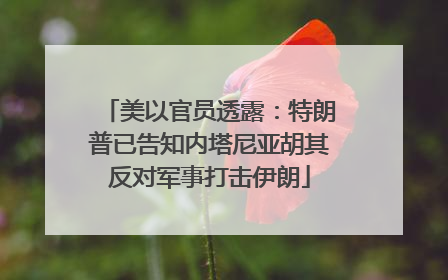 美以官员透露：特朗普已告知内塔尼亚胡其反对军事打击伊朗