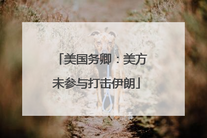 美国务卿：美方未参与打击伊朗