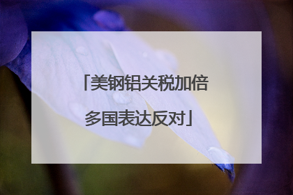 美钢铝关税加倍 多国表达反对
