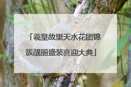 羲皇故里天水花团锦簇靓丽盛装喜迎大典