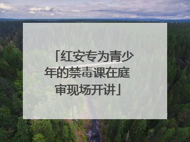 红安专为青少年的禁毒课在庭审现场开讲