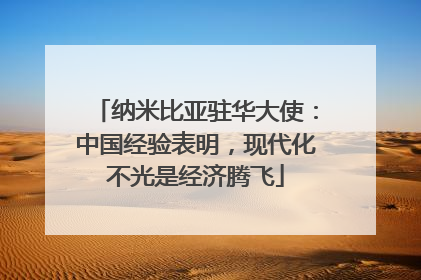 纳米比亚驻华大使：中国经验表明，现代化不光是经济腾飞
