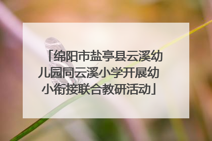 绵阳市盐亭县云溪幼儿园同云溪小学开展幼小衔接联合教研活动