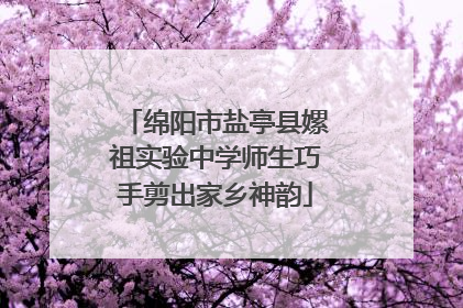 绵阳市盐亭县嫘祖实验中学师生巧手剪出家乡神韵