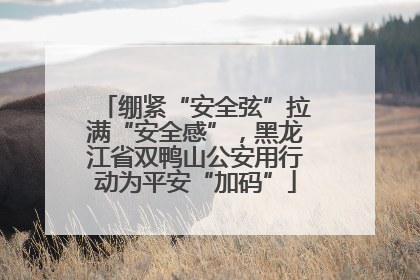 绷紧“安全弦”拉满“安全感”，黑龙江省双鸭山公安用行动为平安“加码”