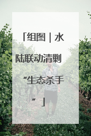 组图｜水陆联动清剿“生态杀手”
