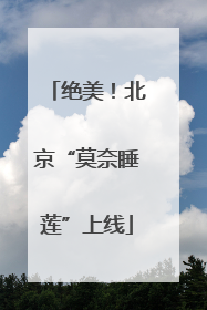 绝美！北京“莫奈睡莲”上线