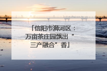 信阳市浉河区：万亩茶庄园飘出“三产融合”香