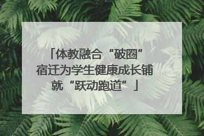 体教融合“破圈” 宿迁为学生健康成长铺就“跃动跑道”