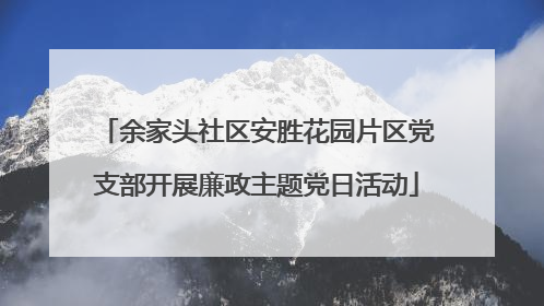 余家头社区安胜花园片区党支部开展廉政主题党日活动