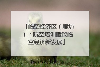 临空经济区（廊坊）：航空培训赋能临空经济新发展