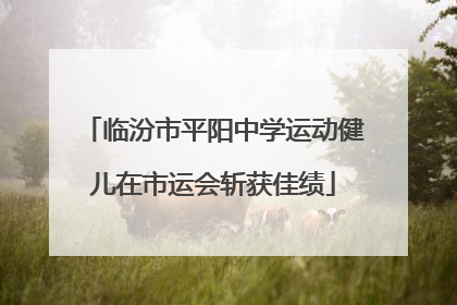 临汾市平阳中学运动健儿在市运会斩获佳绩