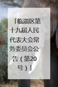 临淄区第十九届人民代表大会常务委员会公告（第20号）
