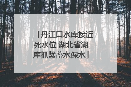 丹江口水库接近死水位 湖北省湖库抓紧蓄水保水
