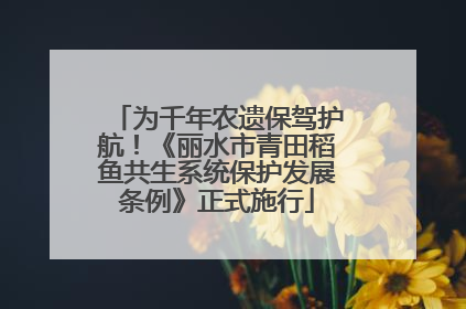 为千年农遗保驾护航！《丽水市青田稻鱼共生系统保护发展条例》正式施行