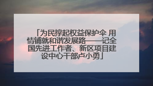 为民撑起权益保护伞 用情铺就和谐发展路——记全国先进工作者、新区项目建设中心干部卢小勇