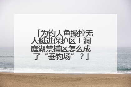 为钓大鱼操控无人艇进保护区！洞庭湖禁捕区怎么成了“垂钓场”？