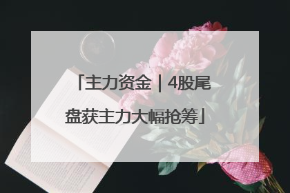 主力资金｜4股尾盘获主力大幅抢筹