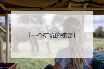 一个矿坑的蝶变