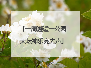 一周邂逅一公园 天坛神乐亮先声
