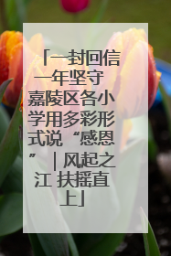 一封回信一年坚守 嘉陵区各小学用多彩形式说“感恩”｜风起之江 扶摇直上