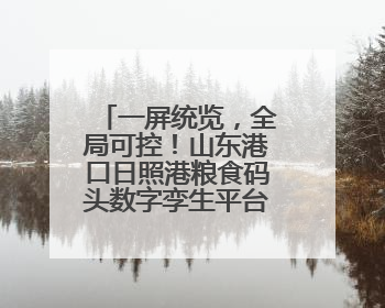 一屏统览，全局可控！山东港口日照港粮食码头数字孪生平台上线
