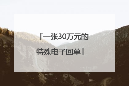 一张30万元的特殊电子回单