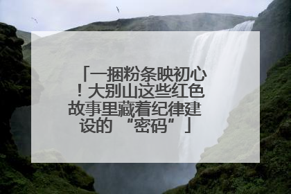 一捆粉条映初心！大别山这些红色故事里藏着纪律建设的 “密码”